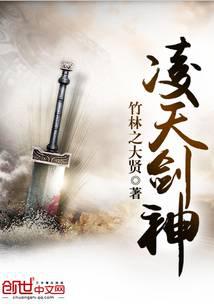 武功小说凌天剑神
