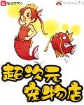 巧遇小说超次元宠物店