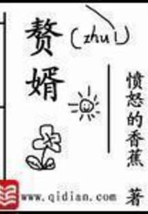 赘婿正剧