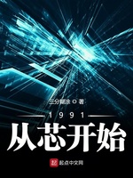 重生小说1991从芯开始