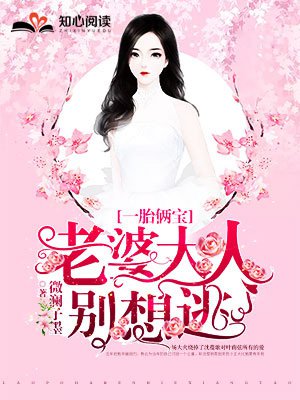 一胎俩宝,老婆大人别想逃（沈蔓歌叶南弦）