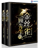 女强小说顾先生的金丝雀
