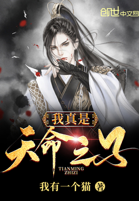 我有一个猫作品我真是天命之子