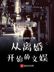 文娱小说从离婚开始的文娱