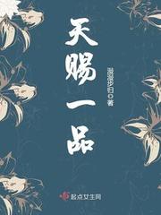 张家小说天赐一品