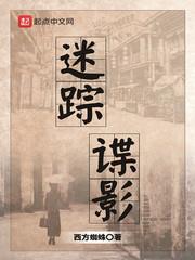 专家小说迷踪谍影