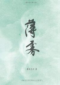 都市小说小说薄雾无限