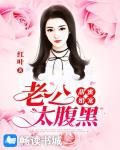 甜蜜婚宠：总裁太腹黑