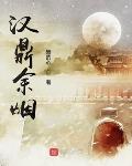 英雄小说汉鼎余烟