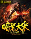 架空小说暗黑大宋