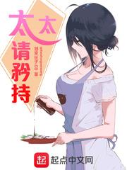 太太请矜持前妻