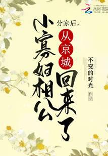 分家后,小寡妇相公从京城回来了